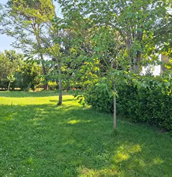 Foto annuncio 8