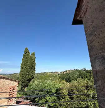 Foto annuncio 24