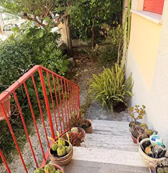 Foto annuncio 7