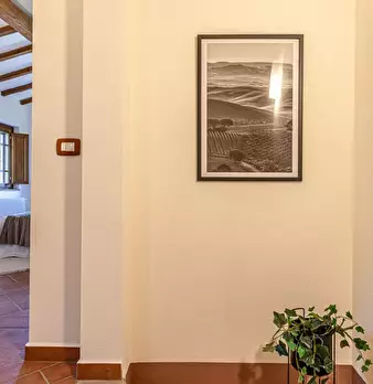 Foto annuncio 44