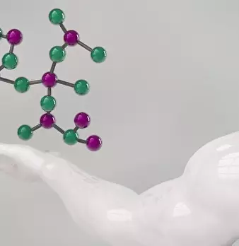 Foto annuncio 11