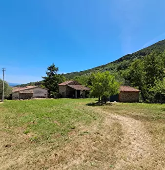 Foto annuncio 76