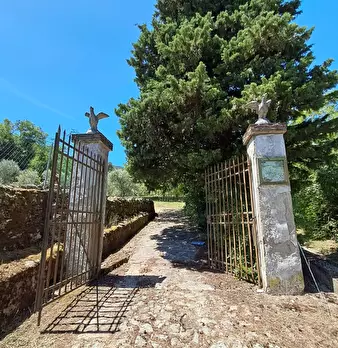 Foto annuncio 78