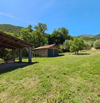 Foto annuncio 12