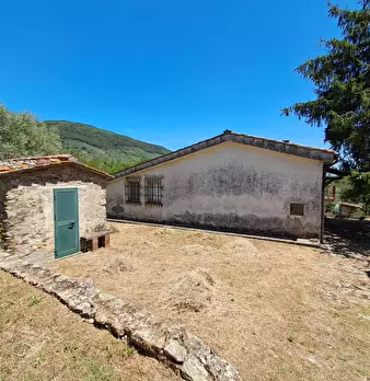 Foto annuncio 7