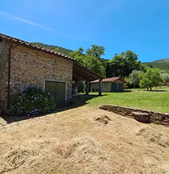 Foto annuncio 11