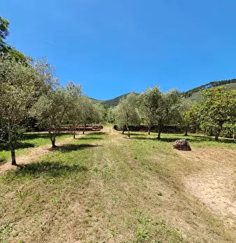 Foto annuncio 18