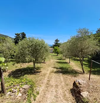 Foto annuncio 23