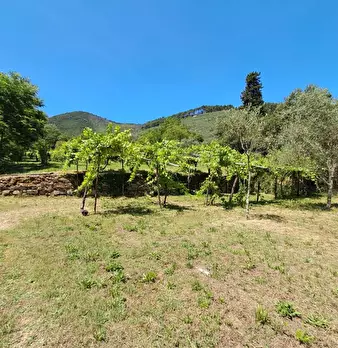 Foto annuncio 19