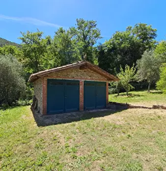 Foto annuncio 51
