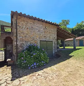 Foto annuncio 8