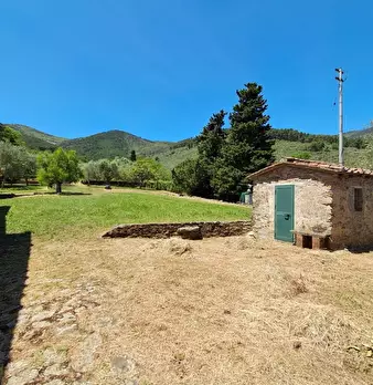Foto annuncio 16