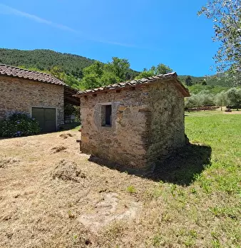 Foto annuncio 14