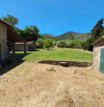 Foto annuncio 9