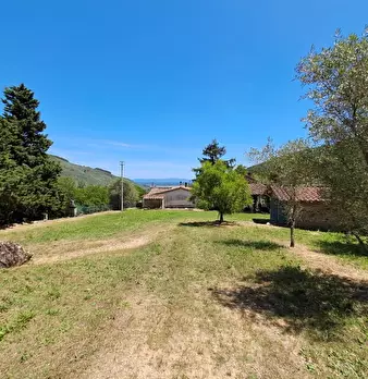 Foto annuncio 21