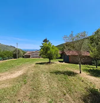 Foto annuncio 20