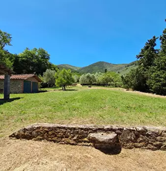 Foto annuncio 13