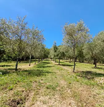 Foto annuncio 22
