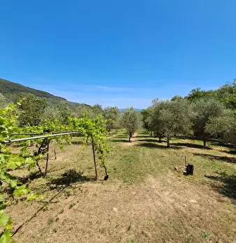 Foto annuncio 25