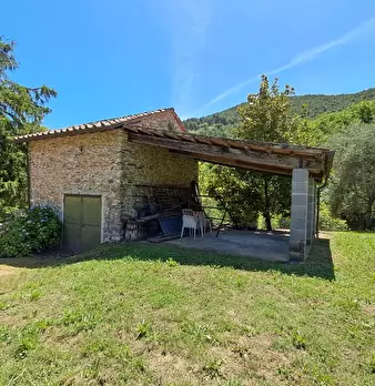 Foto annuncio 47