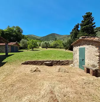 Foto annuncio 15