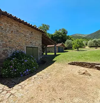 Foto annuncio 10