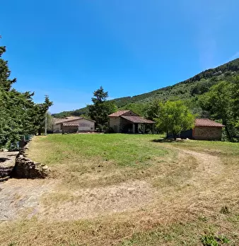 Foto annuncio 77