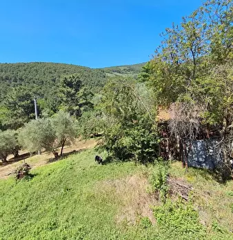 Foto annuncio 8