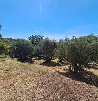 Foto annuncio 11