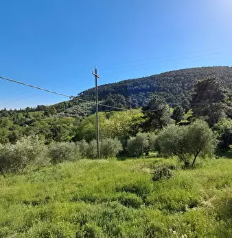 Foto annuncio 12