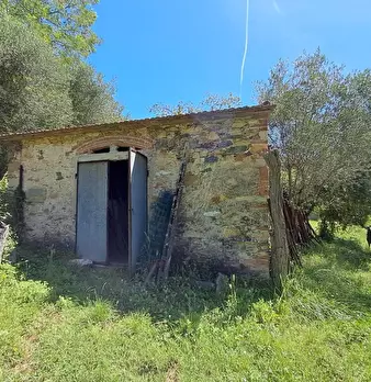 Foto annuncio 28