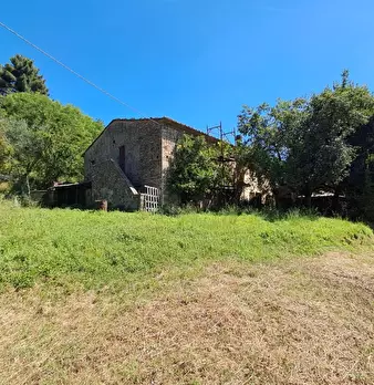 Foto annuncio 6
