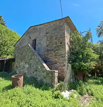 Foto annuncio 4