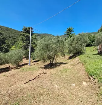 Foto annuncio 10