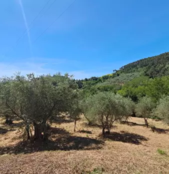 Foto annuncio 9