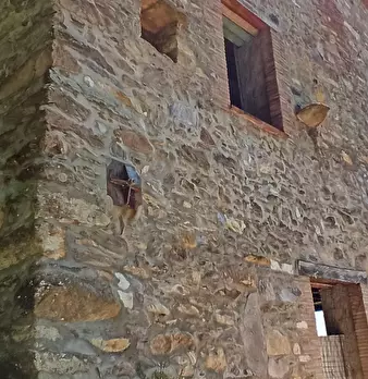 Foto annuncio 23
