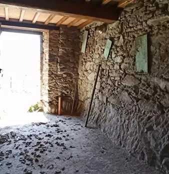 Foto annuncio 8
