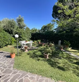 Foto annuncio 7