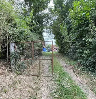 Foto annuncio 2