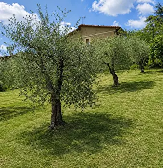 Foto annuncio 3