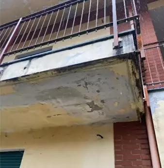Foto annuncio 31