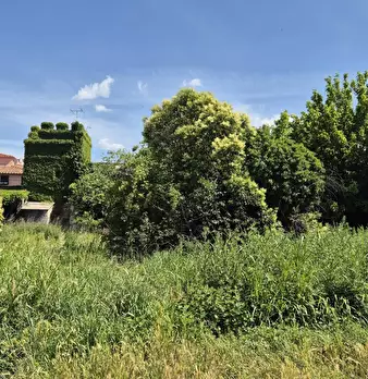 Foto annuncio 6