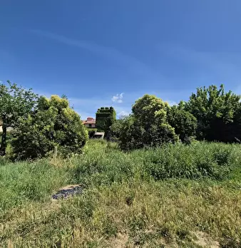 Foto annuncio 7