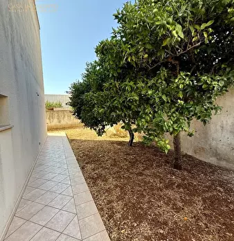 Foto annuncio 8