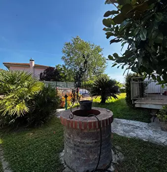 Foto annuncio 6