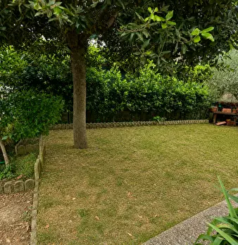 Foto annuncio 7