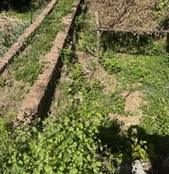 Foto annuncio 10