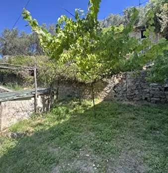 Foto annuncio 8