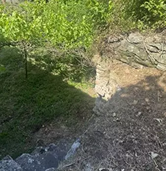 Foto annuncio 4