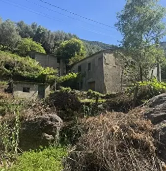 Foto annuncio 2